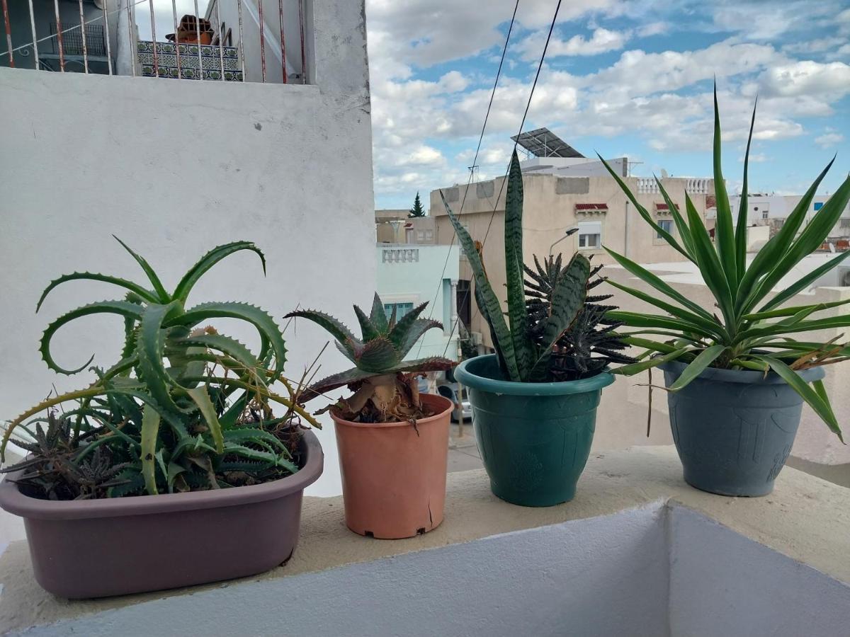 Silverwood Apartment Tunis